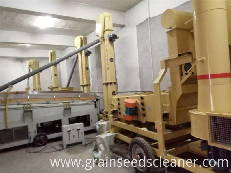 Buckwheat Seed Cleaning Line and Oat Seed Processing Line and Sunflower cleaning Line